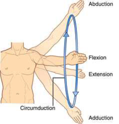 the-science-of-movement-and-the-martial-arts-terra-prime-fighting-words
